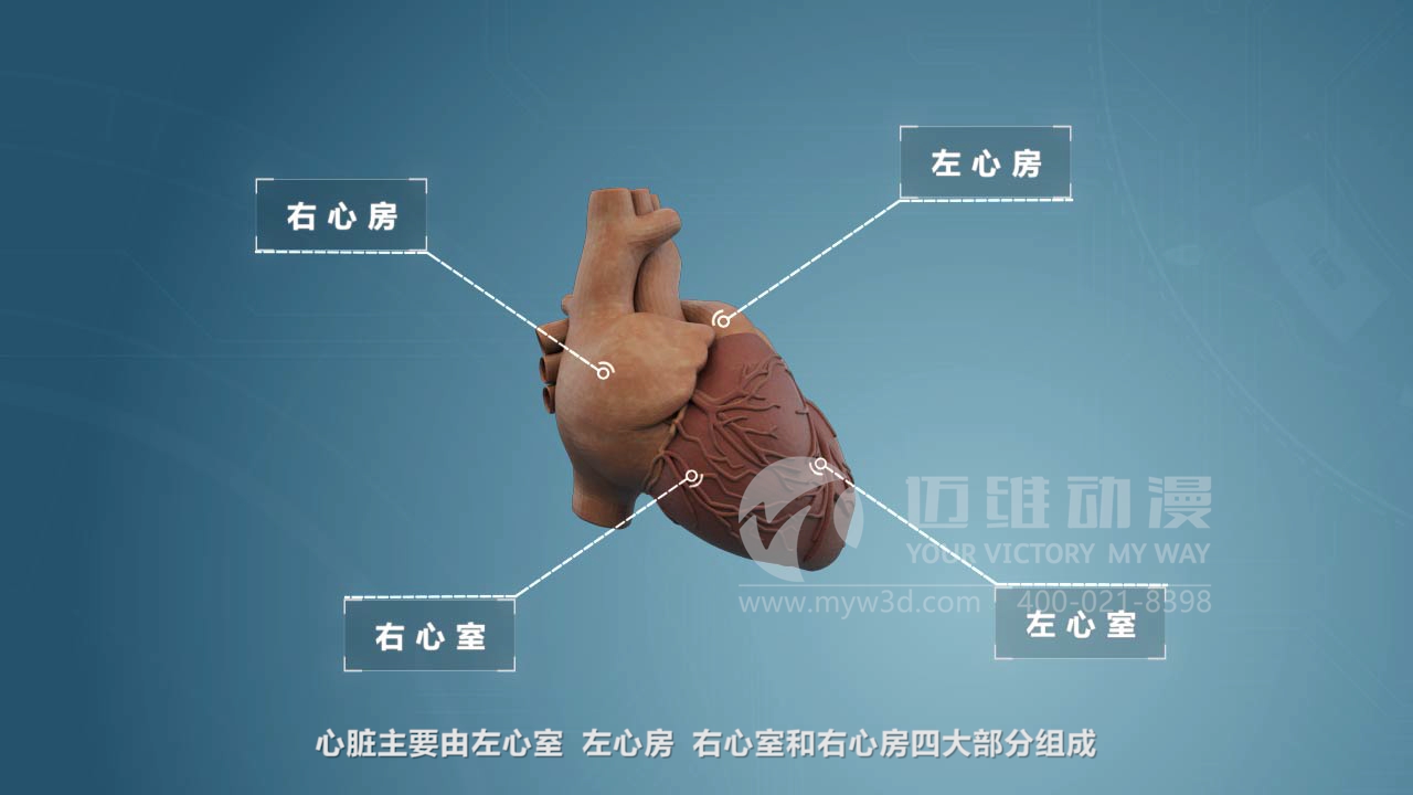 醫療器械三維動畫制作 醫療器械三維動畫制作