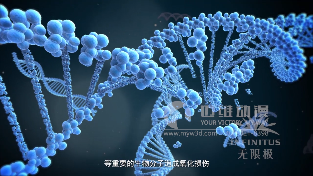 醫學醫療三維動畫制作公司 醫學醫療三維動畫制作公司