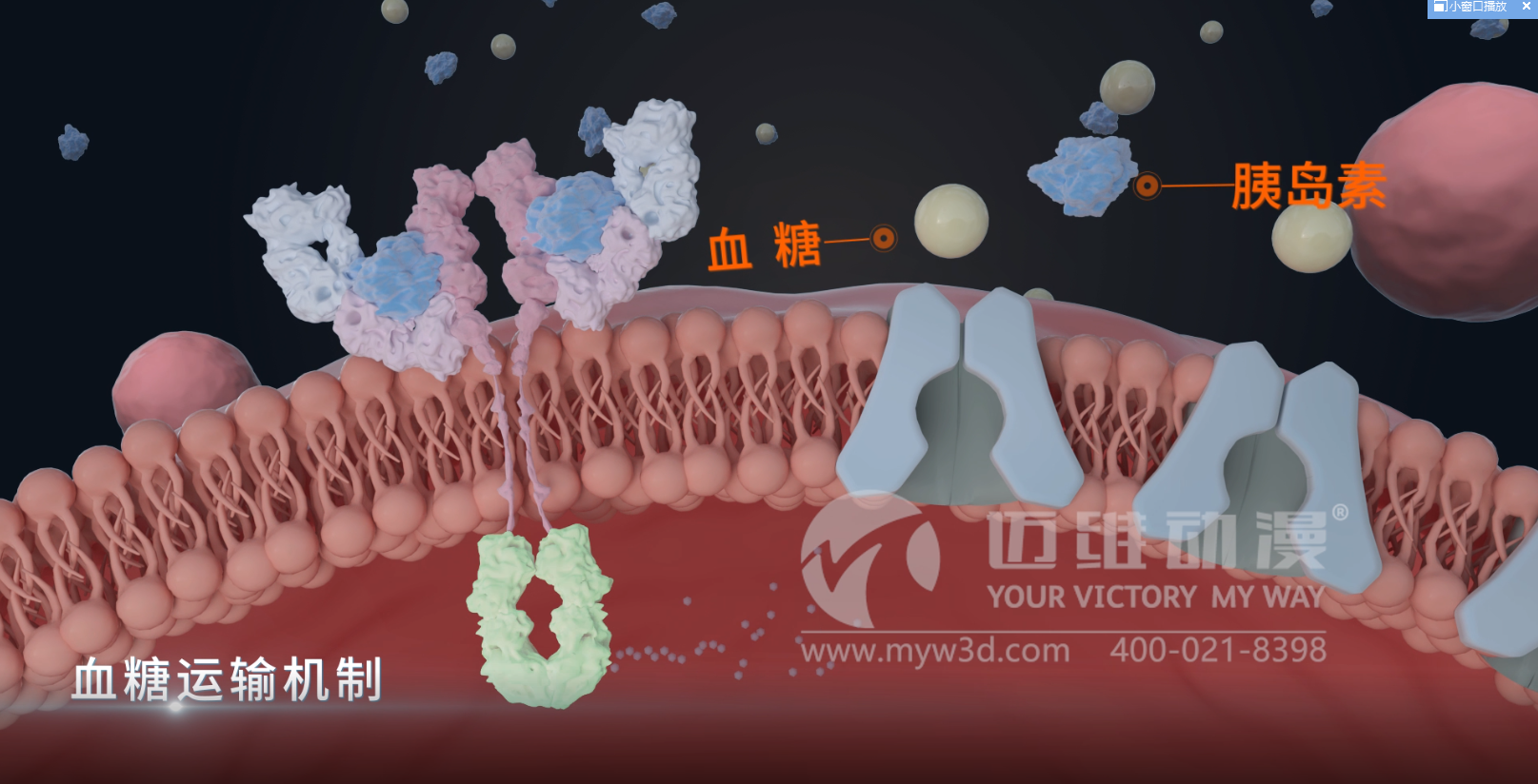 熱烈祝賀邁維動漫與杭州糖吉醫療科技有限公司圓滿完成胃轉流支架系統三維動畫項目合作！(圖4)