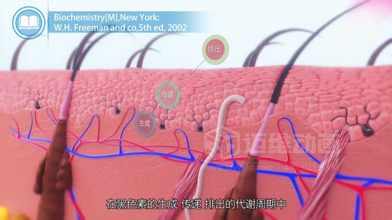 醫(yī)學(xué)科普從來不是 “天書”：三維動畫讓復(fù)雜科學(xué)原理輕松 get！(圖4)