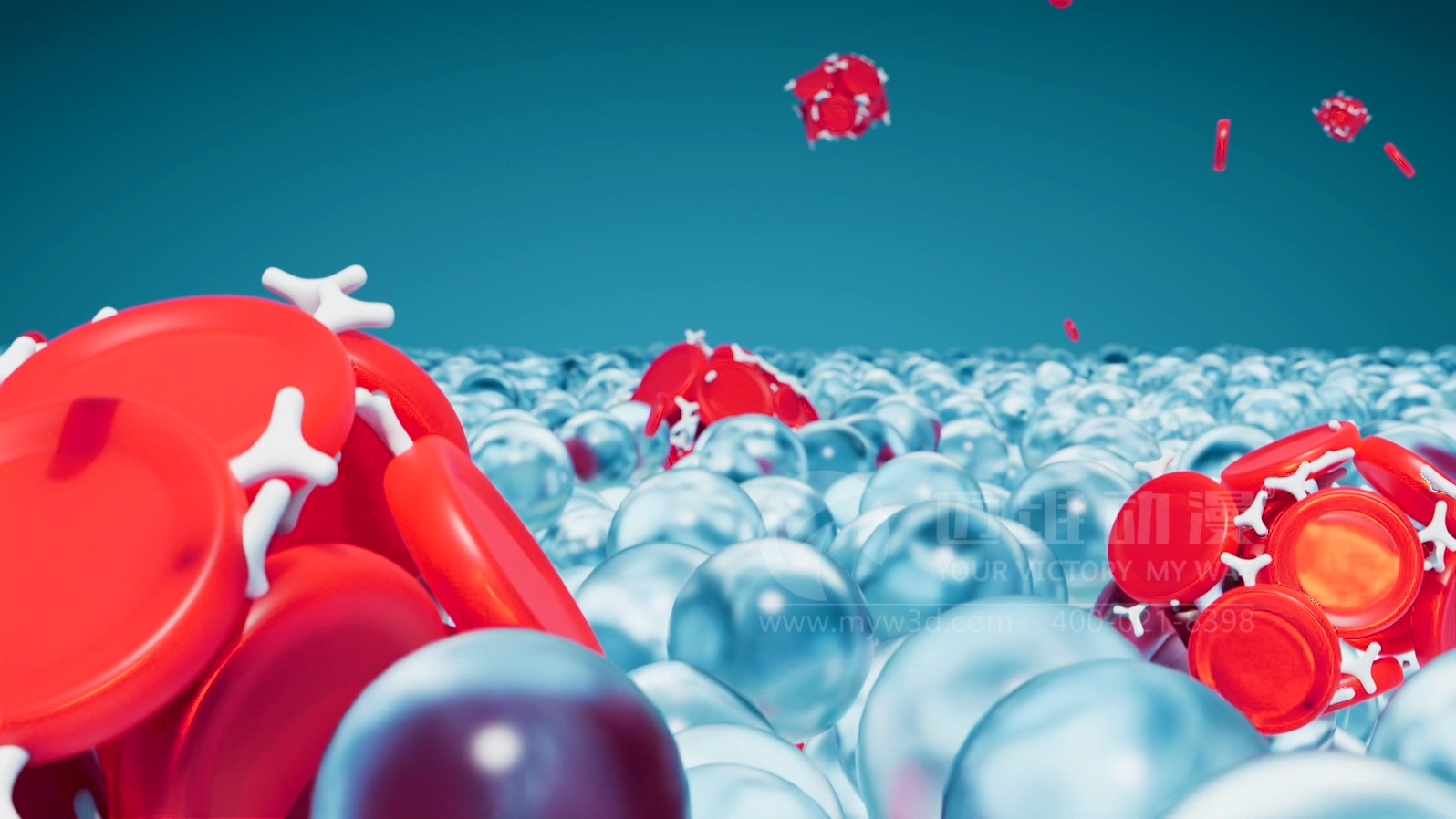 全自動血型分析儀產品三維動畫(圖3) 全自動血型分析儀產品三維動畫(圖3)