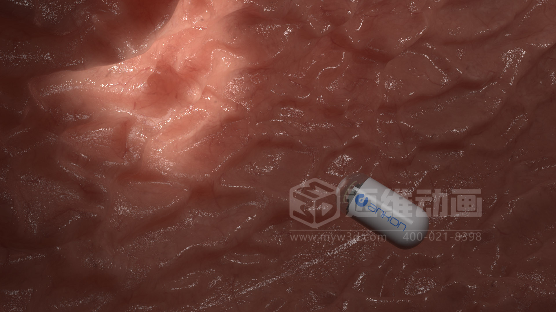 磁控膠囊機器人三維動畫(圖6) 磁控膠囊機器人三維動畫(圖6)