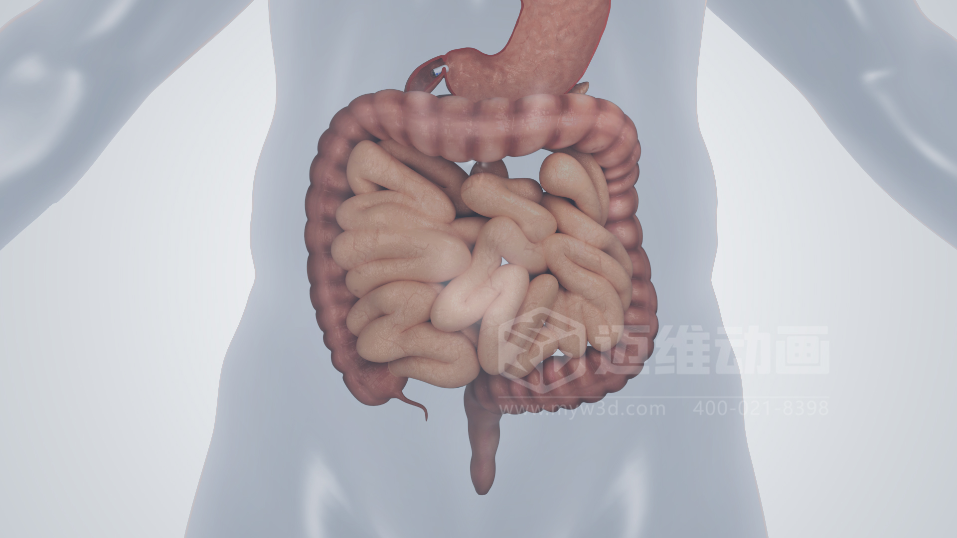磁控膠囊機器人三維動畫(圖5) 磁控膠囊機器人三維動畫(圖5)