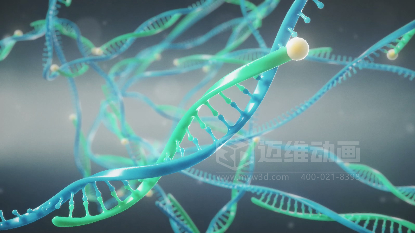 醫療分子生物學三維動畫(圖2) 醫療分子生物學三維動畫(圖2)