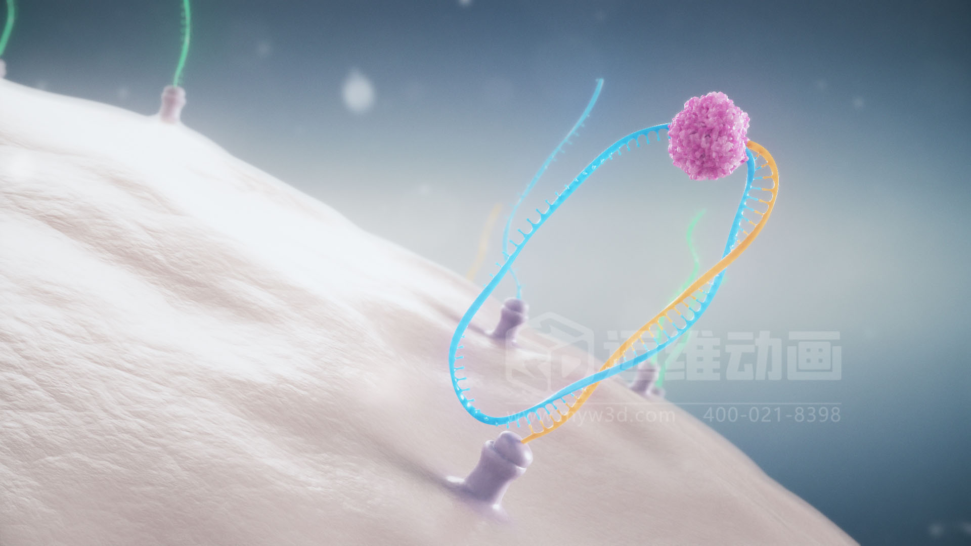 醫療分子生物學三維動畫(圖3) 醫療分子生物學三維動畫(圖3)