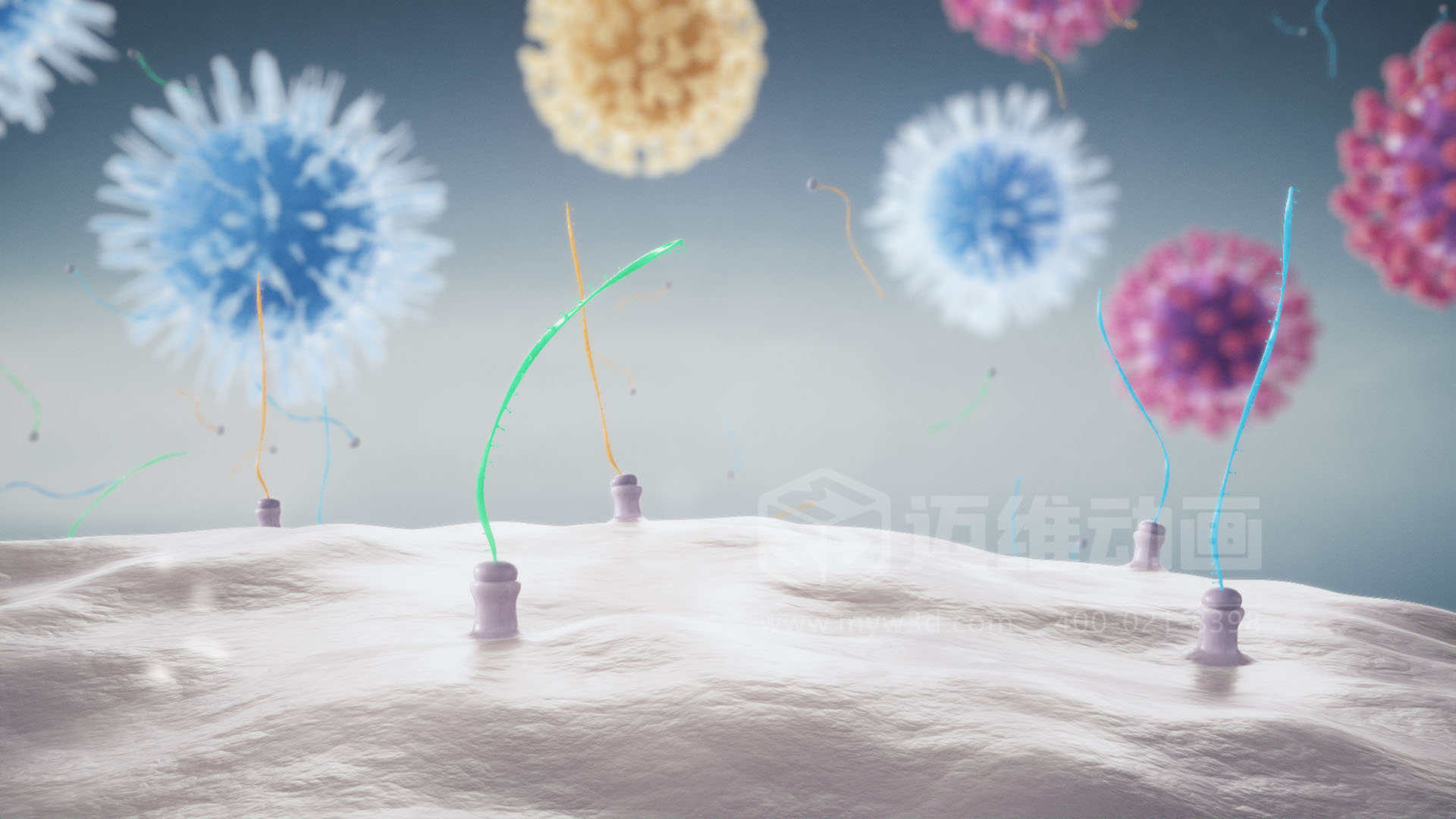 醫療分子生物學三維動畫(圖2) 醫療分子生物學三維動畫(圖2)